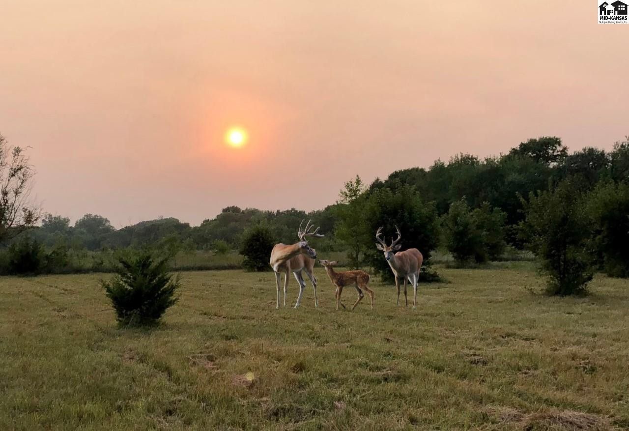 Inman, McPherson County, KS Undeveloped Land, Homesites for sale