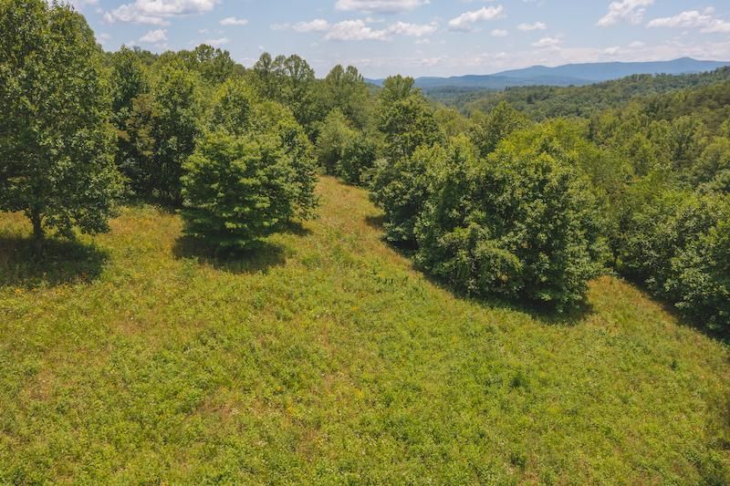 Woolwine, Patrick County, VA Recreational Property, Timberland Property