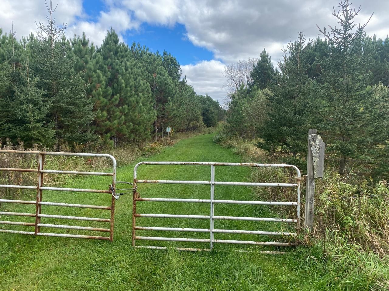 Ogema, Price County, WI Undeveloped Land for sale Property ID