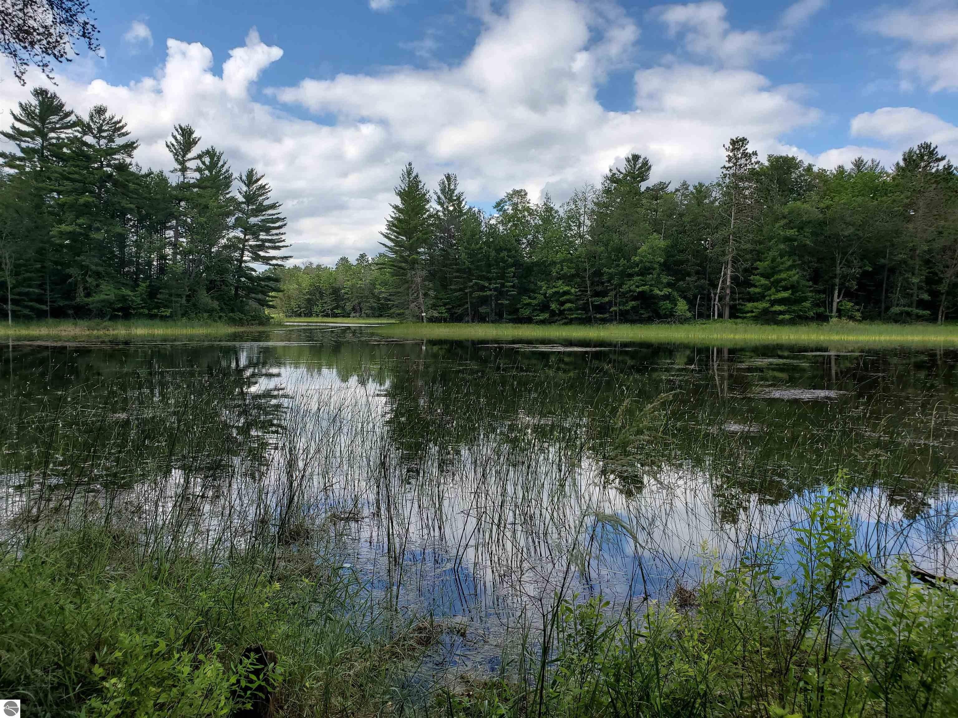 South Branch, Iosco County, MI Undeveloped Land, Lakefront Property
