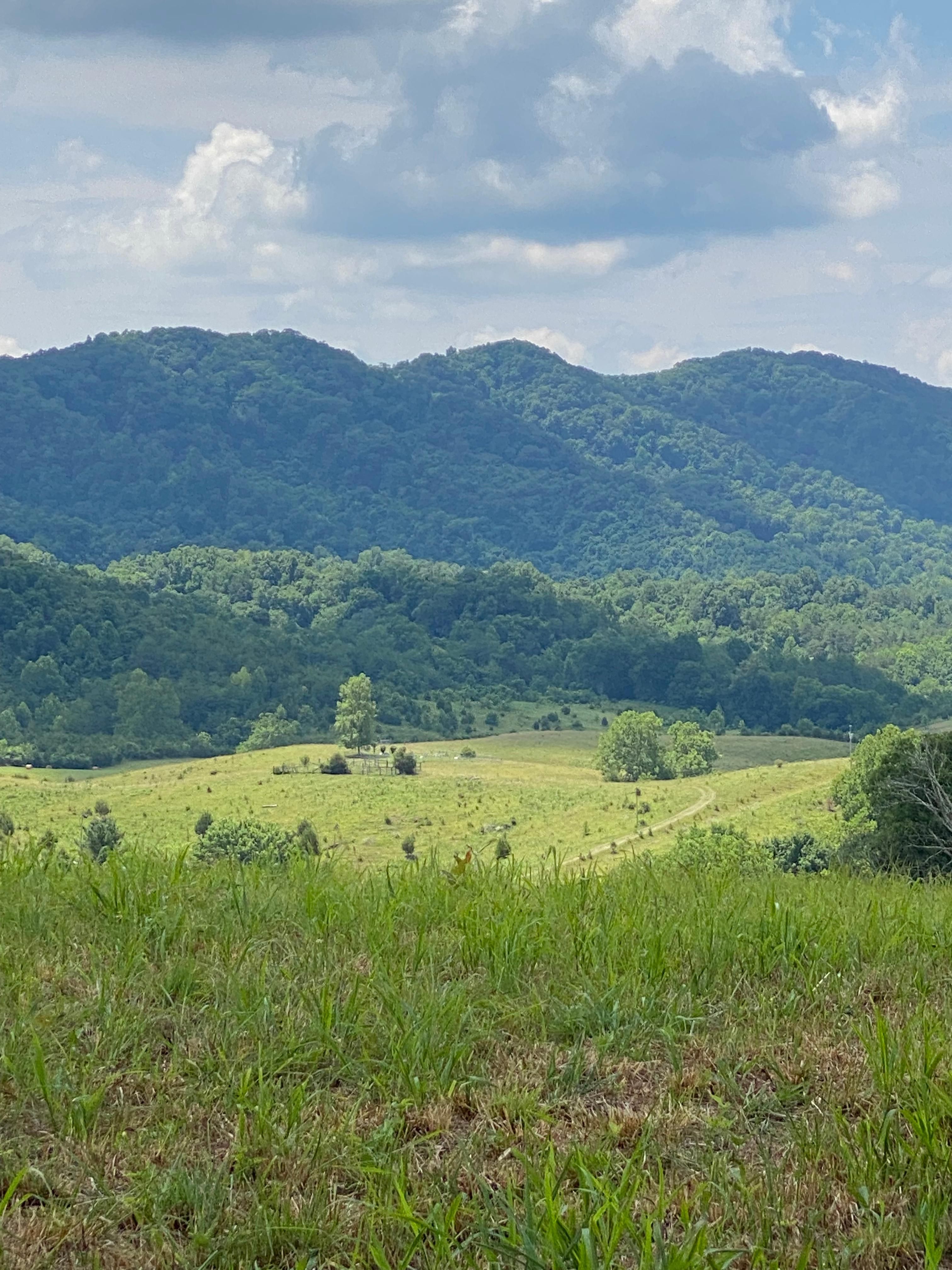 Eidson, Hawkins County, TN Farms and Ranches, Recreational Property for