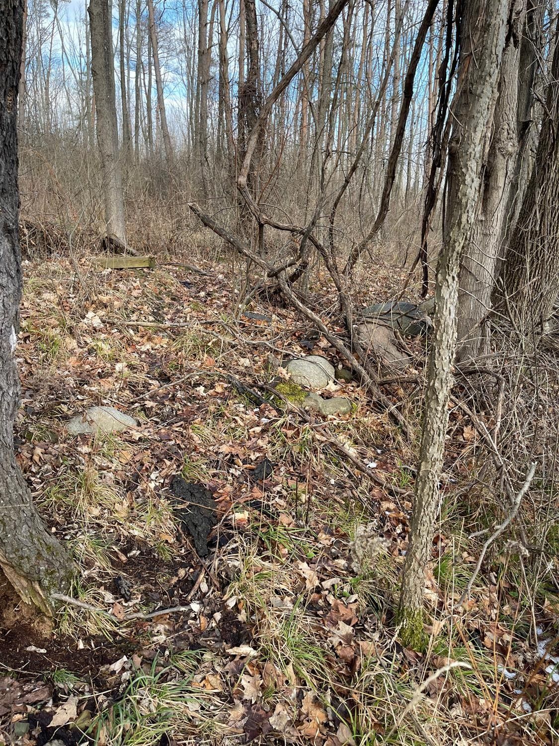Spencer, Tioga County, NY Undeveloped Land, Lakefront Property