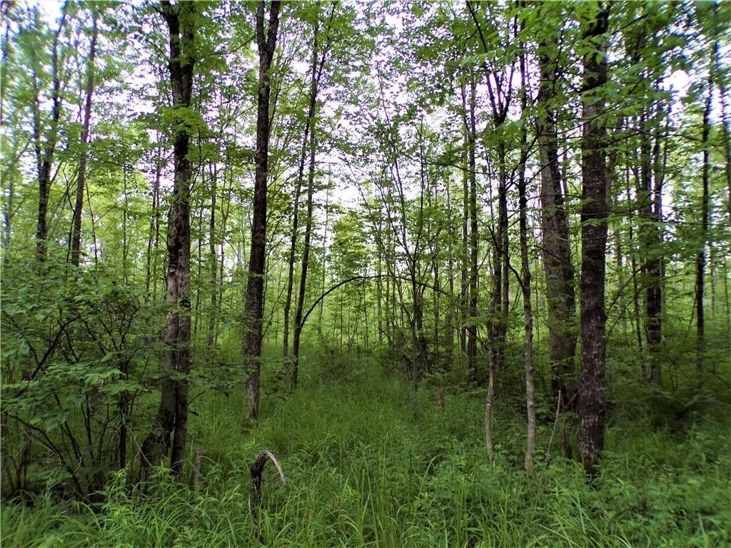 Kennan, Price County, WI Undeveloped Land for sale Property ID 414146618 LandWatch