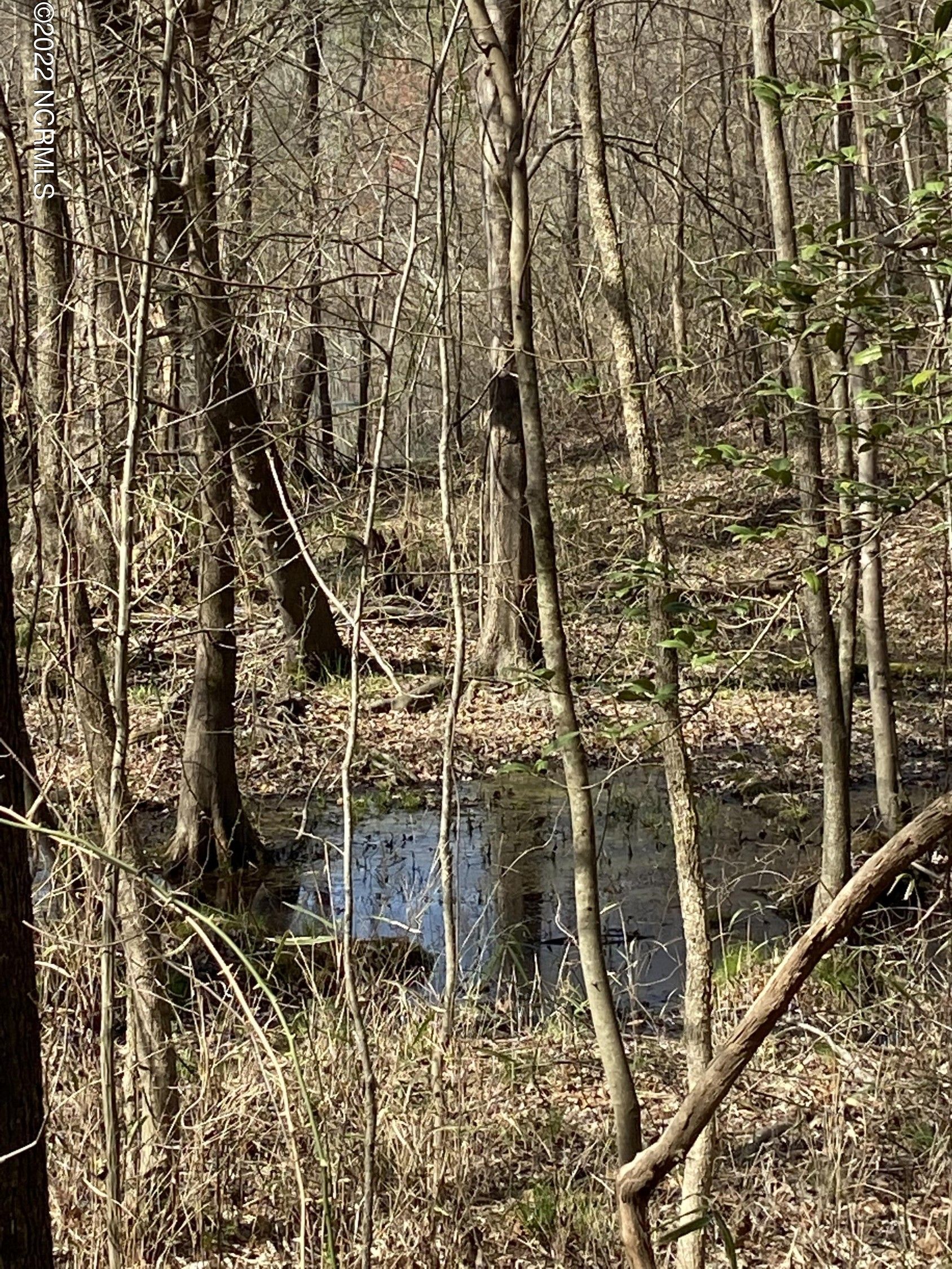 Grimesland, Pitt County, NC Undeveloped Land for sale Property ID