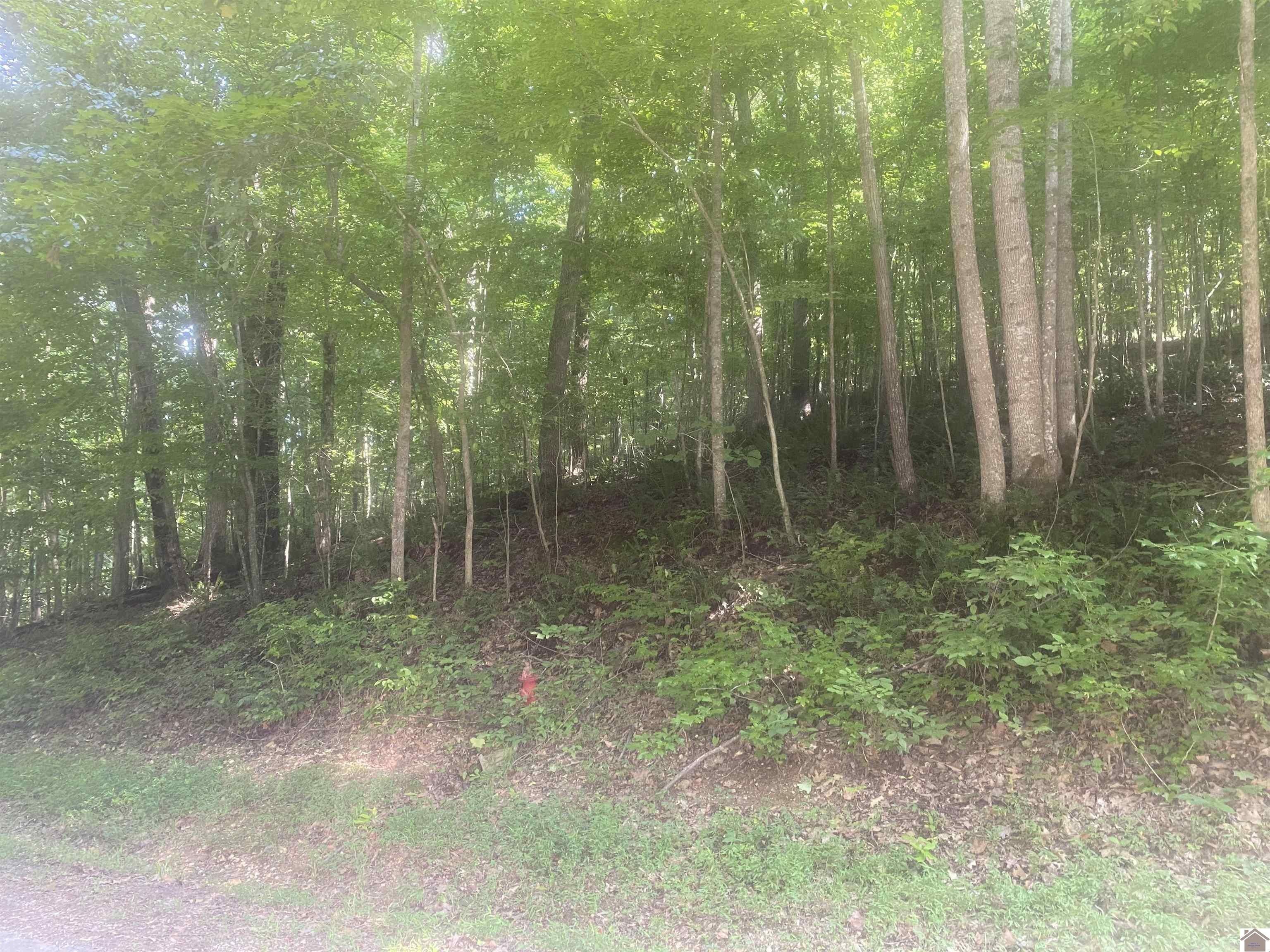 Cadiz, Trigg County, KY Undeveloped Land, Homesites for sale Property
