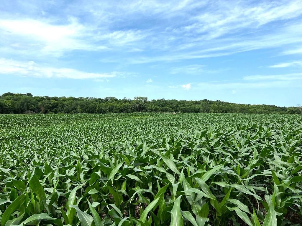 Pattonsburg, Daviess County, MO Farms and Ranches, Recreational