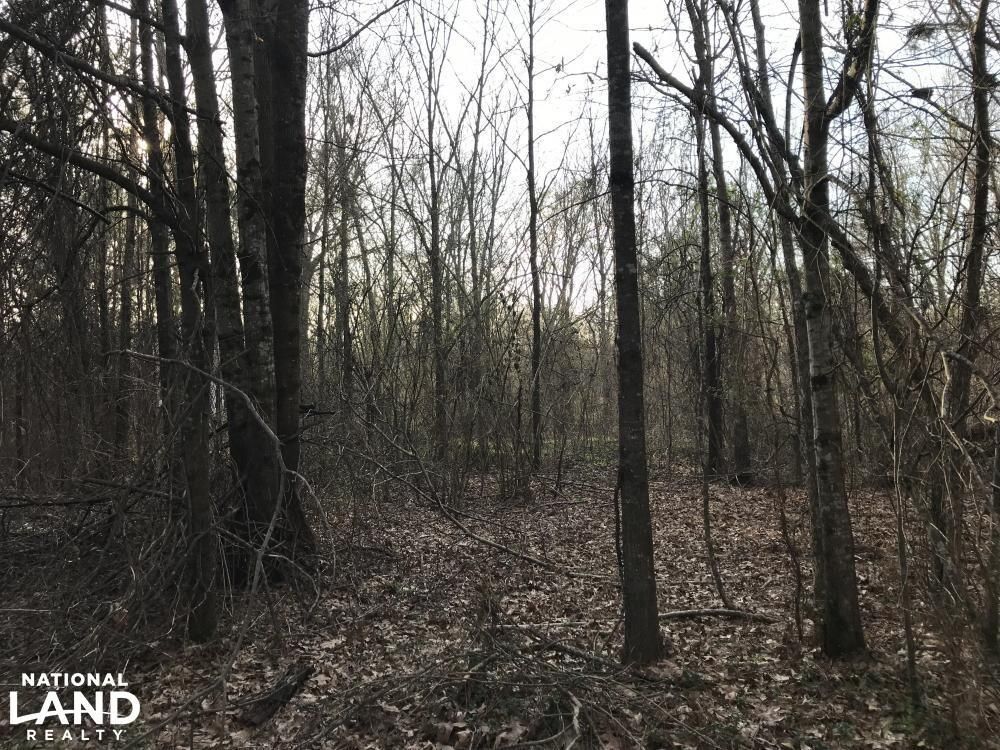 Pioneer, West Carroll Parish, LA Recreational Property, Timberland