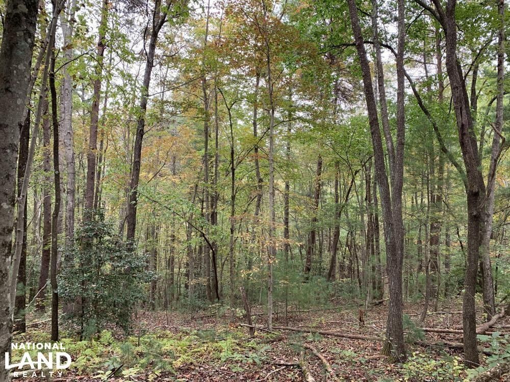 Moravian Falls, Wilkes County, NC Recreational Property, Timberland