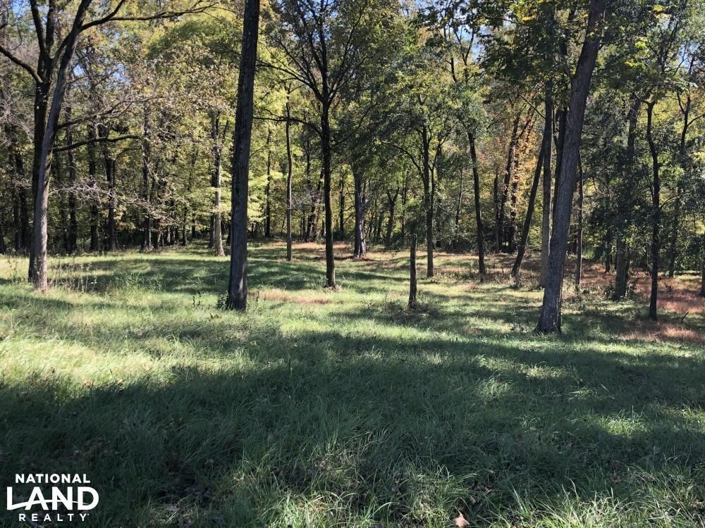 Yazoo City, Yazoo County, MS Recreational Property, Timberland Property