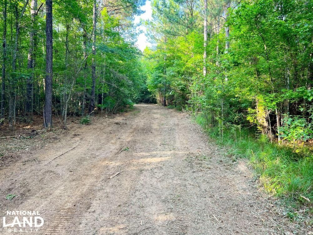 XX Burris Rd, Smithdale, MS 39664 LandWatch