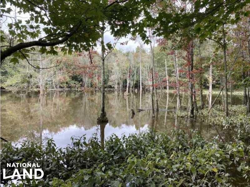 Stockbridge, Henry County, GA Recreational Property, Undeveloped Land