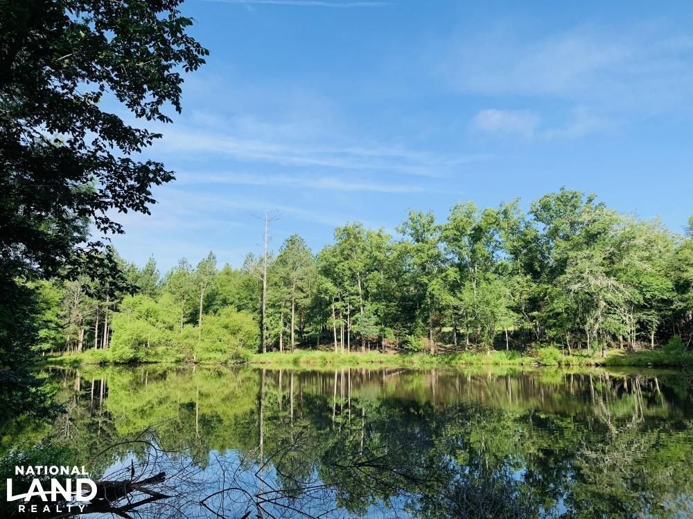 Carlisle, Chester County, SC Recreational Property, Timberland Property