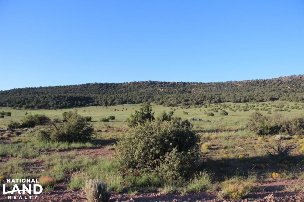 Concho, Apache County, AZ Recreational Property, Undeveloped Land for
