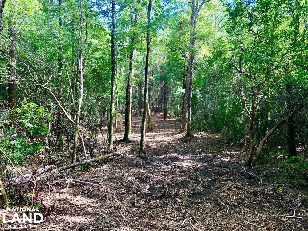 Lucedale, County, MS Timberland Property, Undeveloped Land, Hunting Property for sale