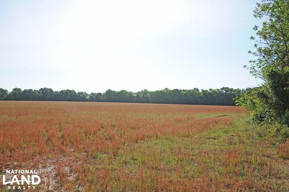 Mccoll, Marlboro County, SC Farms and Ranches, Undeveloped Land