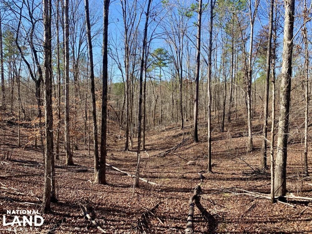 Calera, Shelby County, AL Recreational Property, Hunting Property for