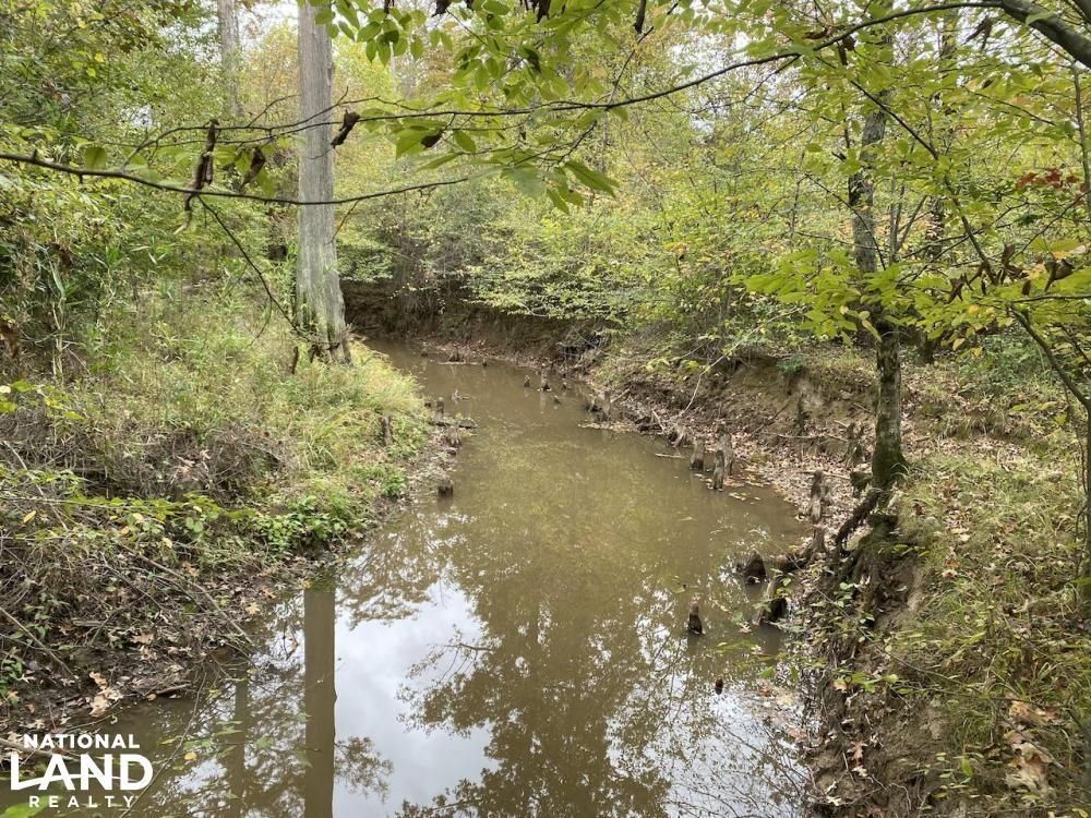 Fordyce, Dallas County, AR Recreational Property, Timberland Property