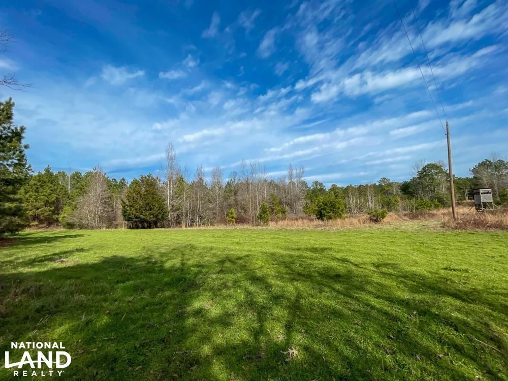 Orrville, Dallas County, AL Recreational Property, Timberland Property