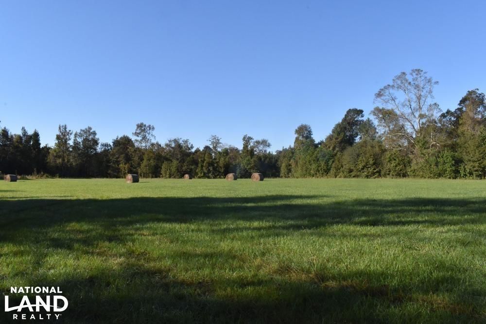 Jackson, East Feliciana Parish, LA Farms and Ranches, Timberland