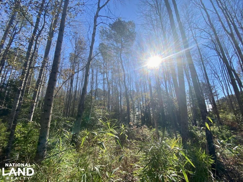 Gatesville, Gates County, NC Farms and Ranches, Recreational Property