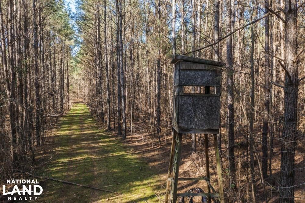 Louisville, Winston County, MS Recreational Property, Timberland