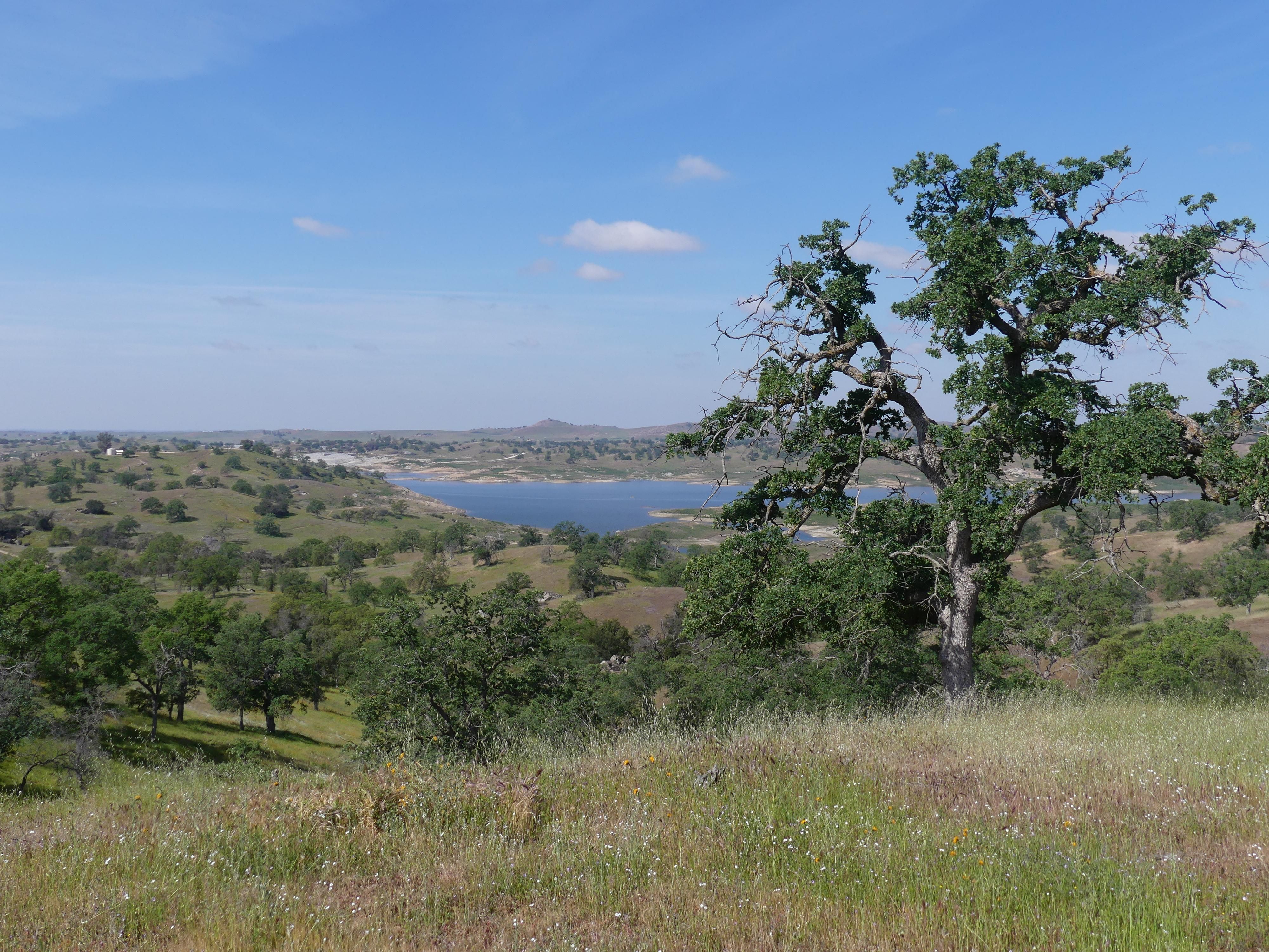 Raymond, Madera County, CA Farms and Ranches, Recreational Property for