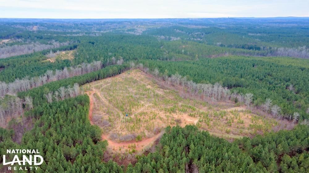 Wadesboro, Anson County, NC Recreational Property, Timberland Property