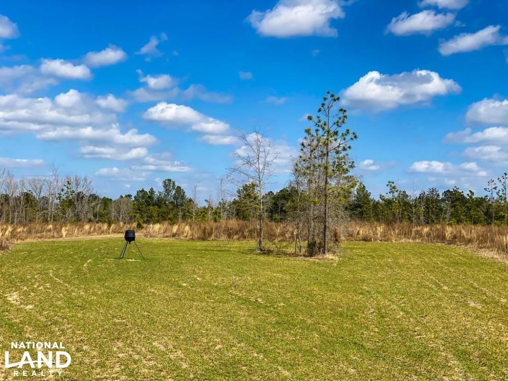 Cedar Grove, Laurens County, GA Recreational Property, Timberland