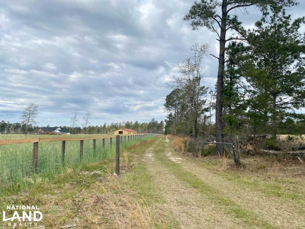 Williston, Aiken County, SC Recreational Property, Timberland Property