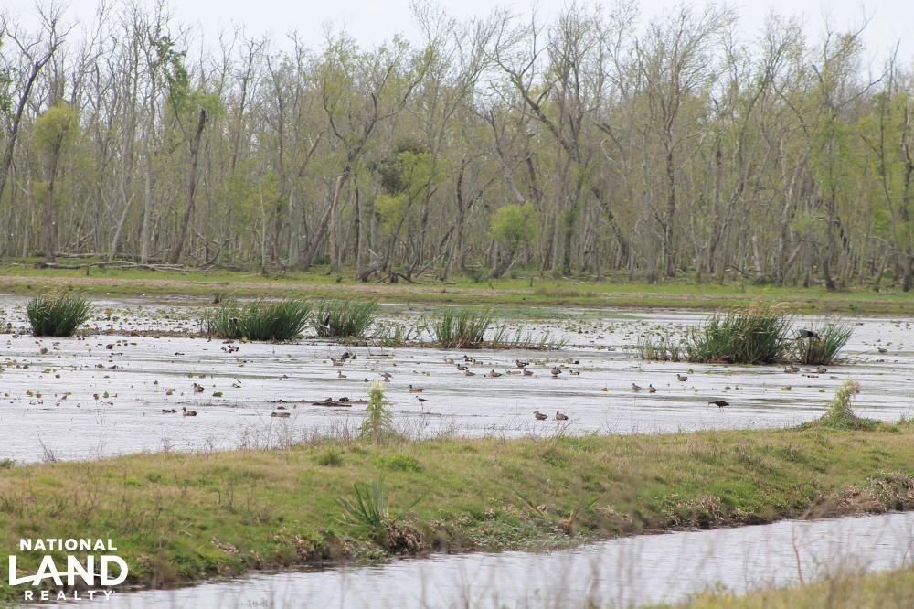 Abbeville, Vermilion Parish, LA Farms and Ranches, Recreational