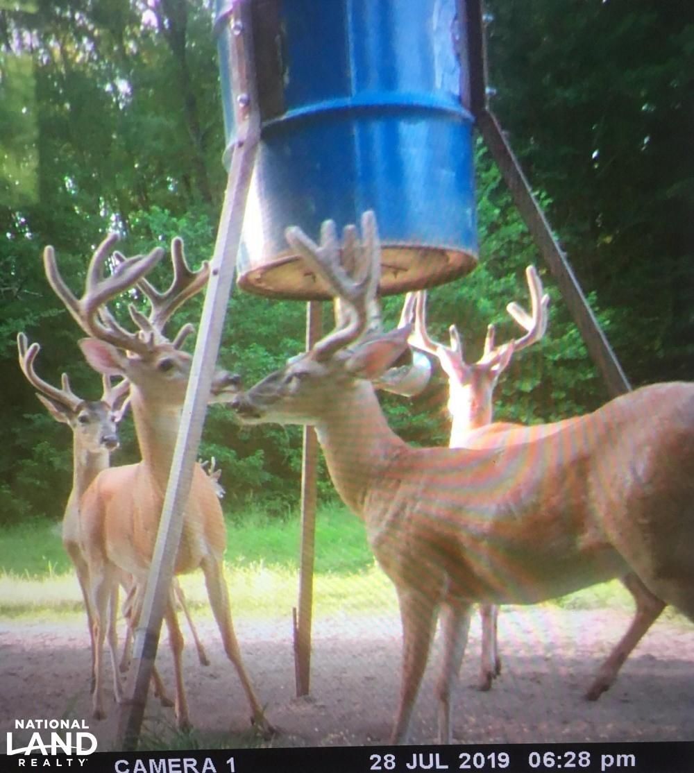 Macon, Noxubee County, MS Recreational Property, Timberland Property