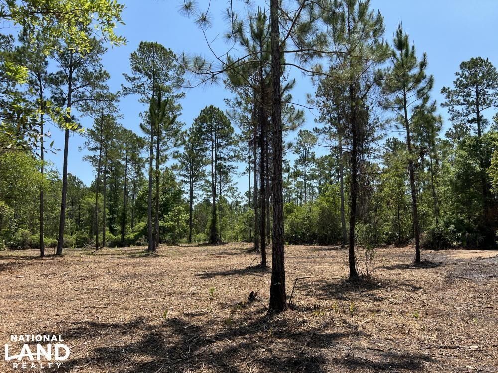 1 Coastal Estates Drive, Brunswick, GA 31525 LandWatch