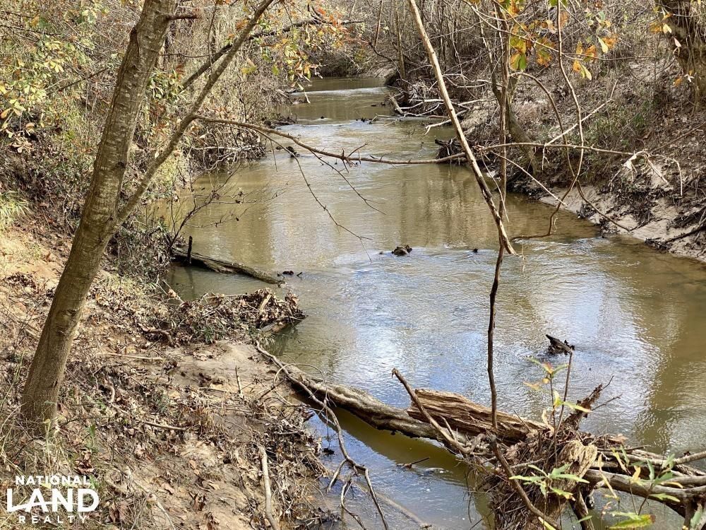 Linden, Marengo County, AL Recreational Property, Timberland Property