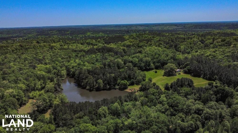 Valley Grande, Dallas County, AL Recreational Property, Timberland