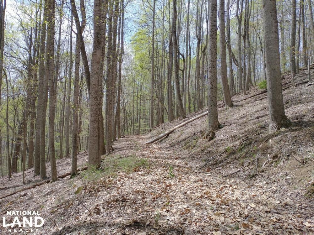 Mcdowell, Highland County, VA Recreational Property, Timberland