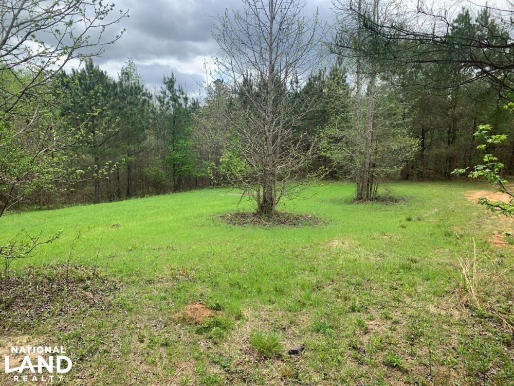 Sally Sue ber Road, Cedar Bluff, MS 39741 LandWatch