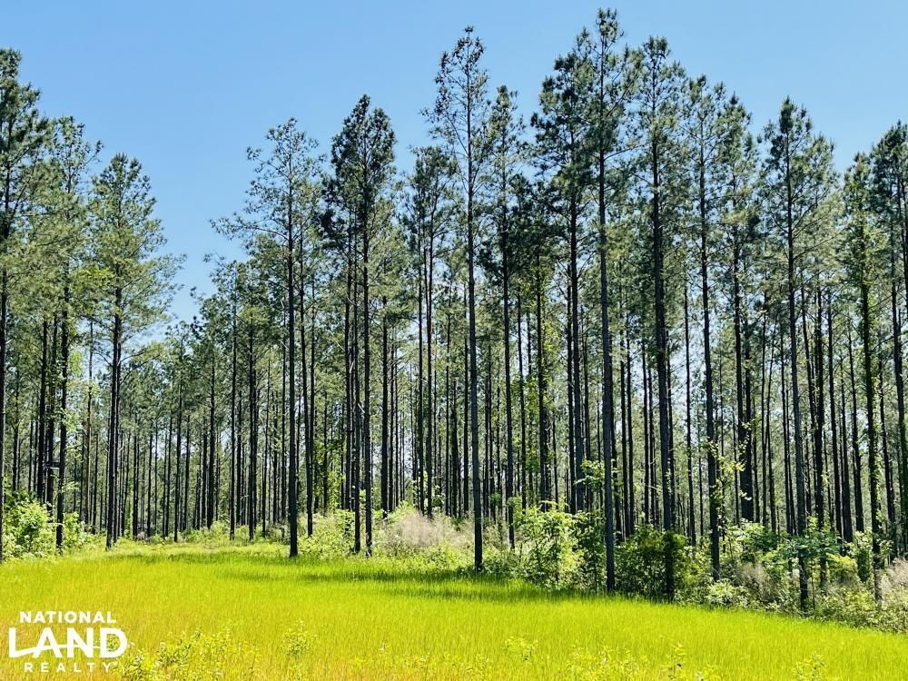 Akron, Hale County, AL Recreational Property, Timberland Property