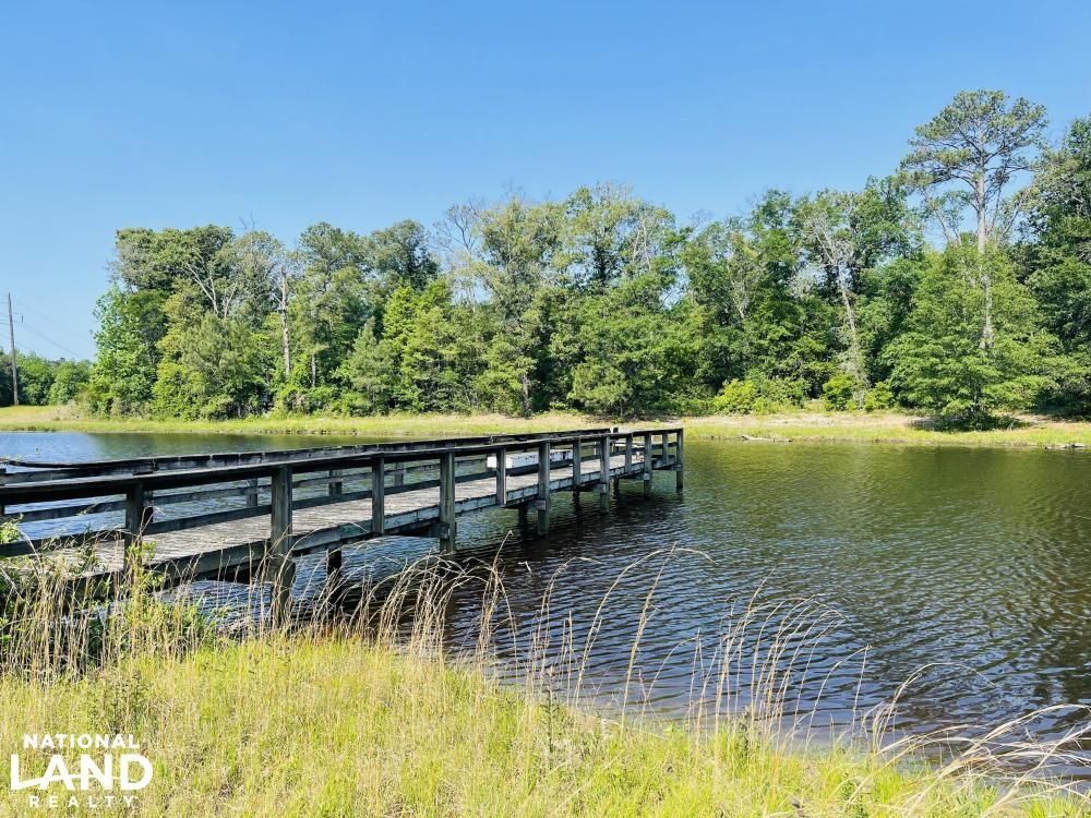 Magnolia, Sampson County, NC Hunting Property, Lakefront Property