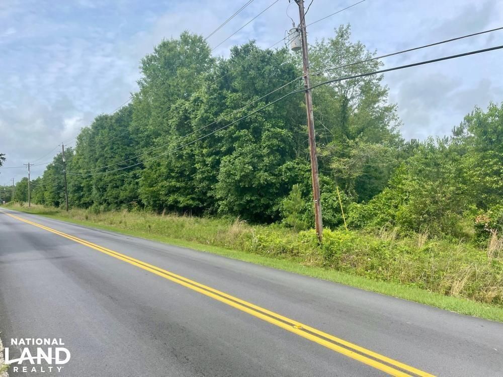Allendale, Allendale County, SC Recreational Property, Undeveloped Land