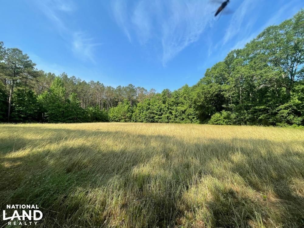 Panola, Sumter County, AL Recreational Property, Timberland Property