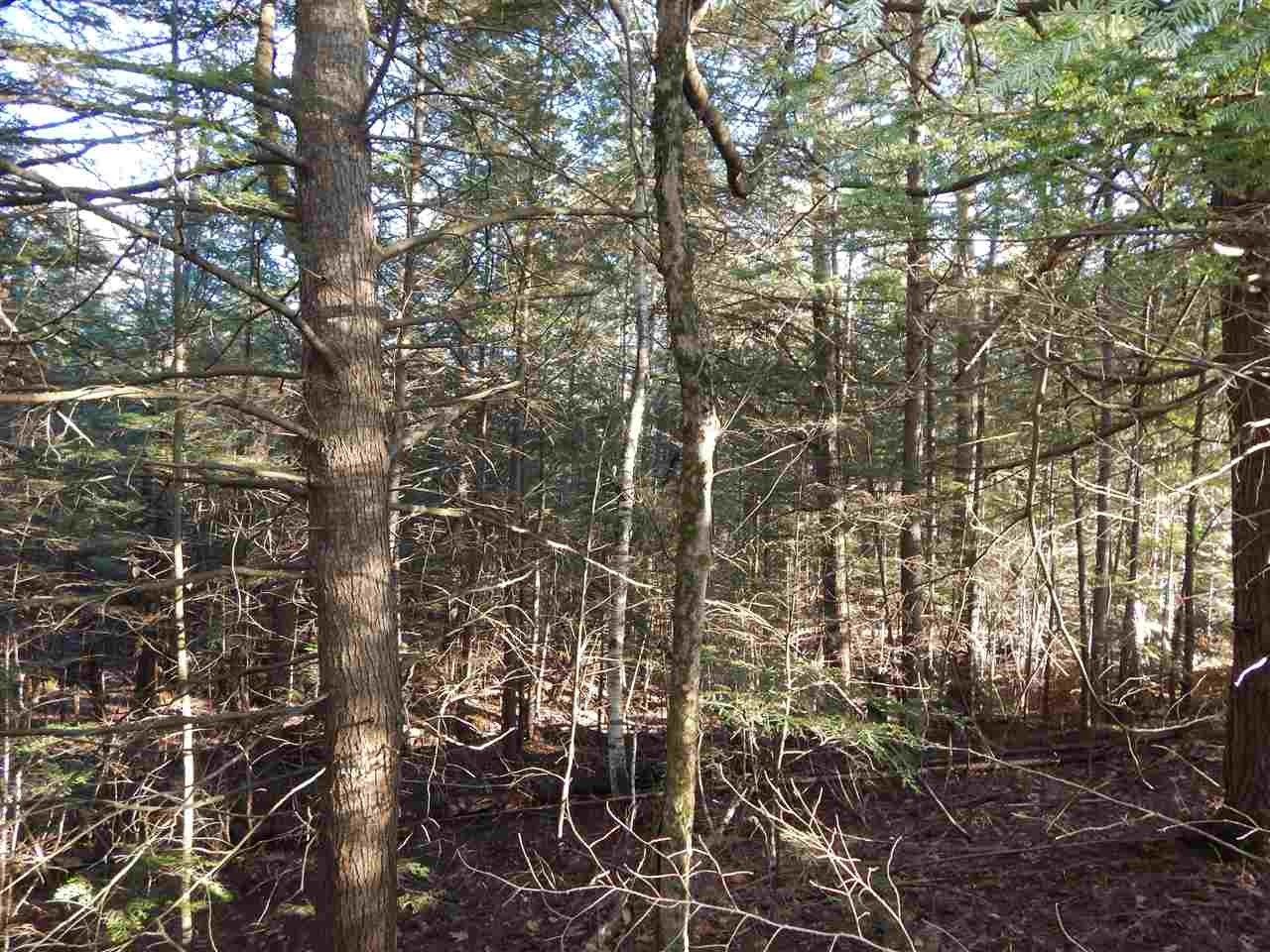 Bradford, Merrimack County, NH Undeveloped Land for sale Property ID