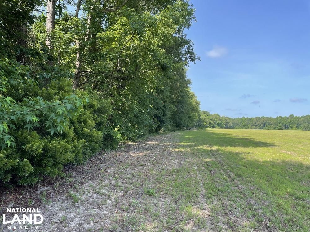Ridgeville, Berkeley County, SC Recreational Property, Hunting Property