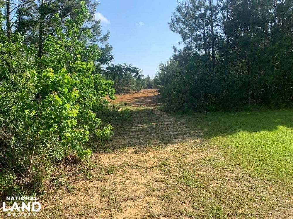 Greensburg, Saint Helena Parish, LA Recreational Property, Timberland