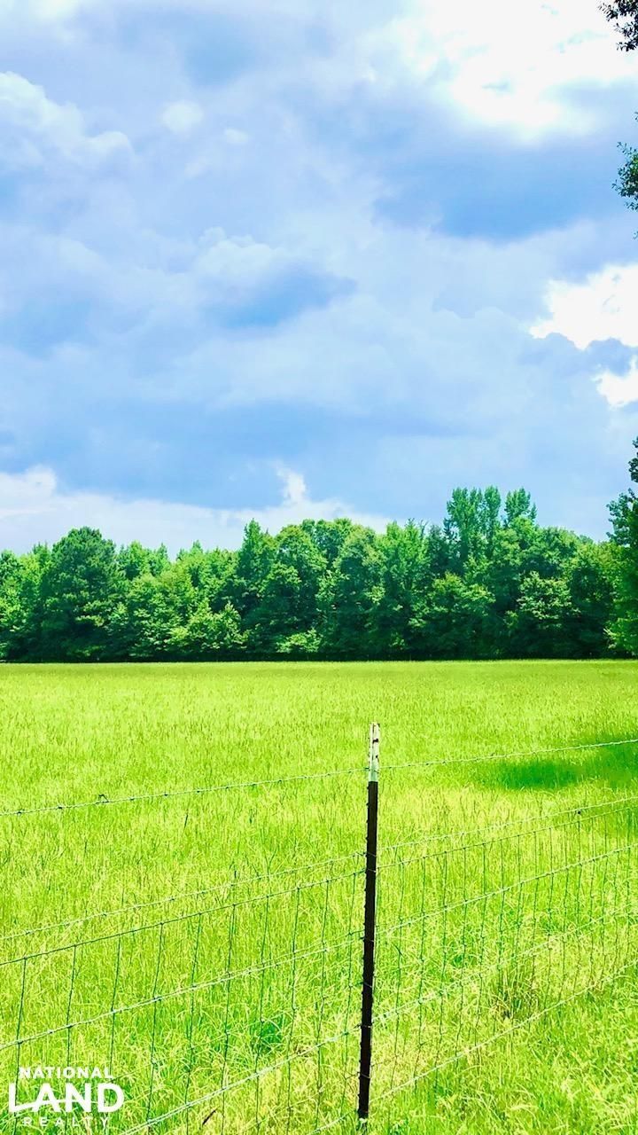 Somerville, County, AL Recreational Property, Undeveloped Land