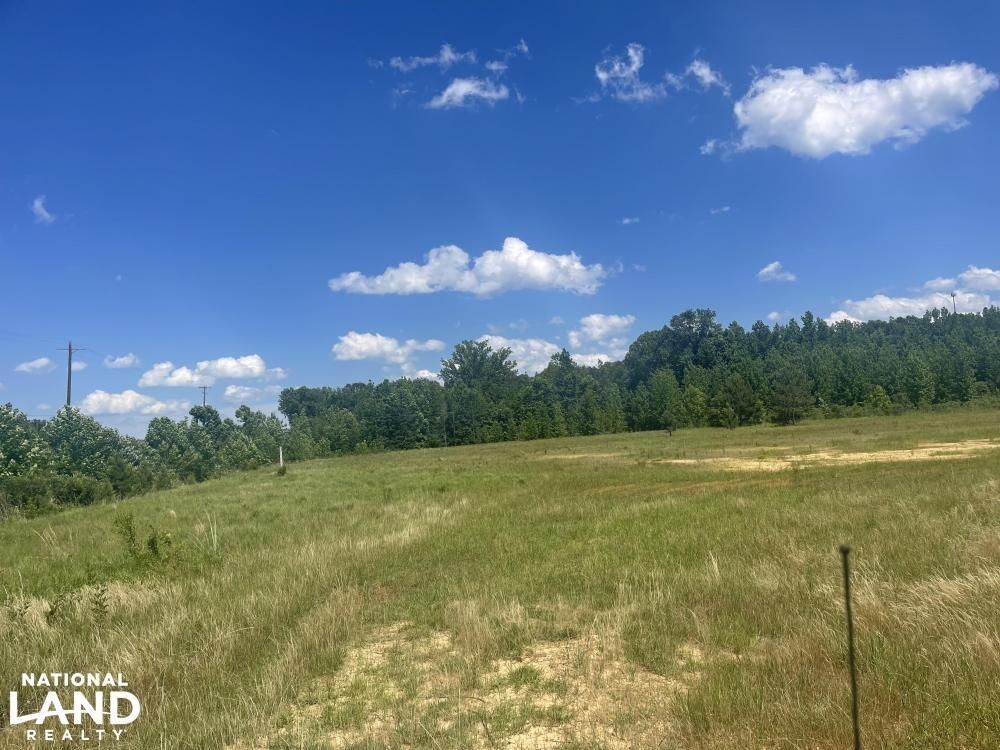 Durant, Holmes County, MS Recreational Property, Timberland Property
