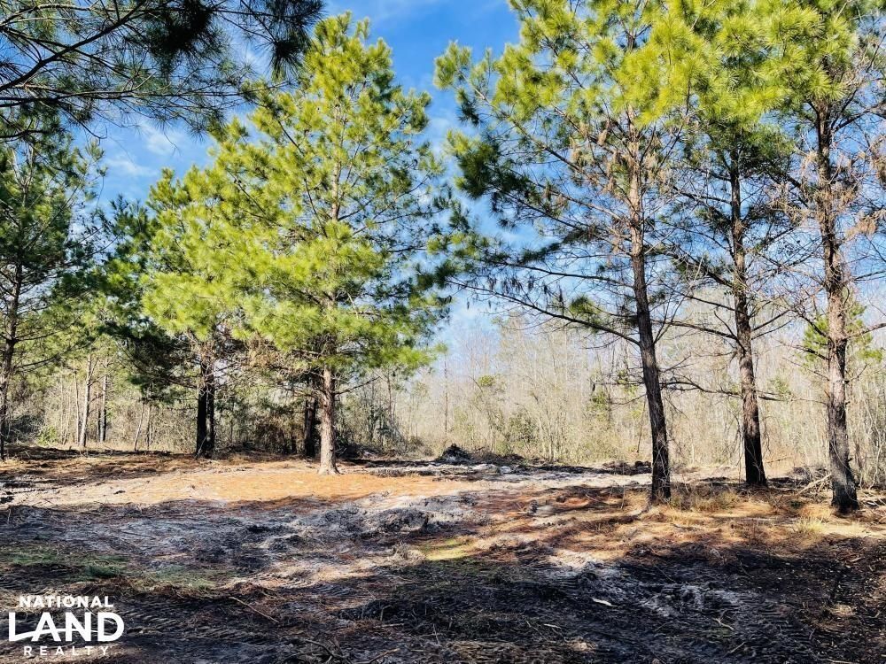 Bladenboro, Bladen County, NC Recreational Property, Hunting Property