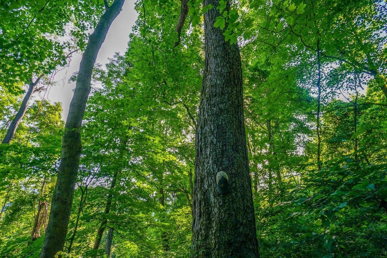 3209 Township Road 156, Rayland, OH 43943 LandWatch