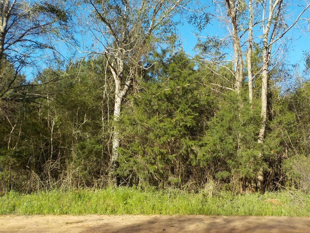 Headland, Henry County, AL Undeveloped Land, Lakefront Property
