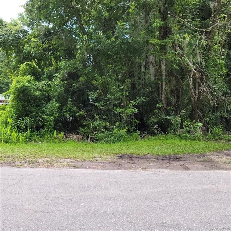 Crystal River, Citrus County, FL Undeveloped Land, Homesites for sale Property ID 414132918