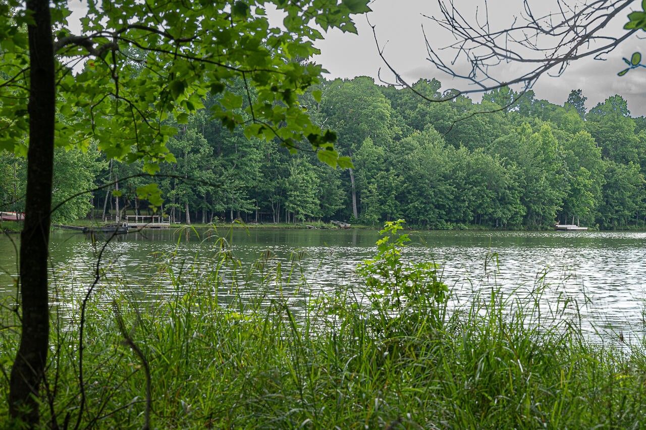 Cloudland, Dade County, GA Undeveloped Land, Homesites for sale